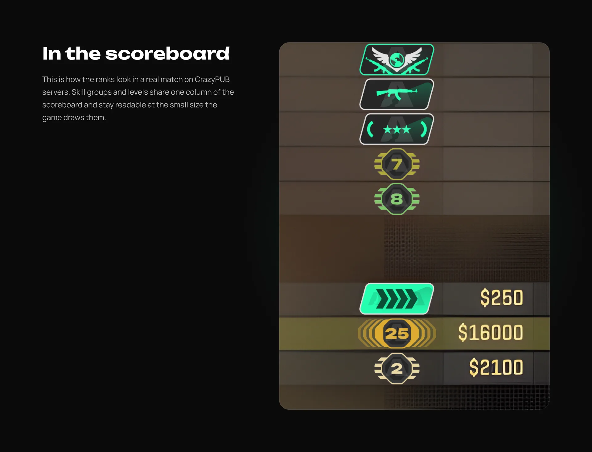 CrazyPUB: ranks and levels for CS2 servers: illustration 6